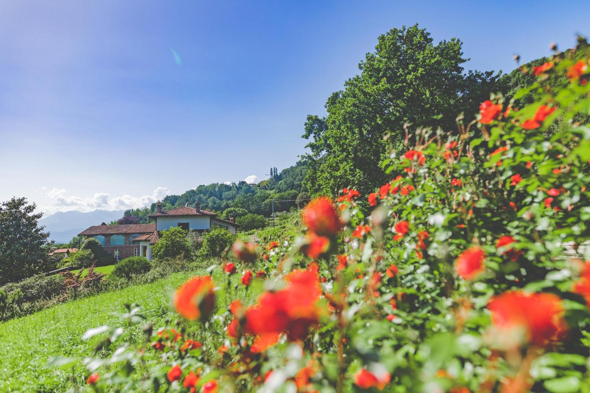 Myvilla Suites Palazzo Canavese エクステリア 写真